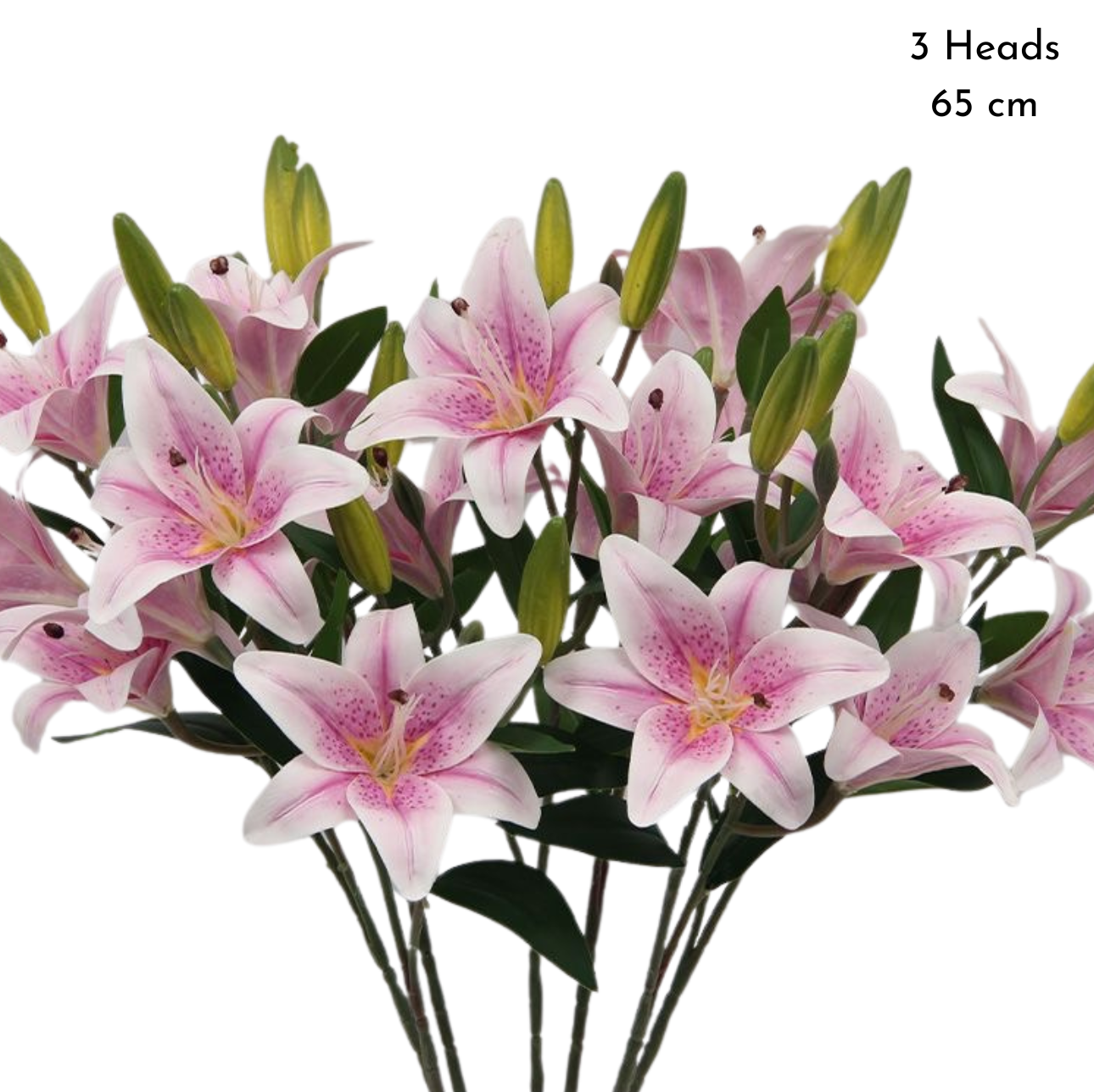 Filler Flowers & Foliage