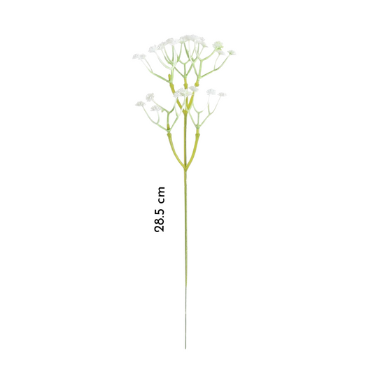 Baby's Breath (6)