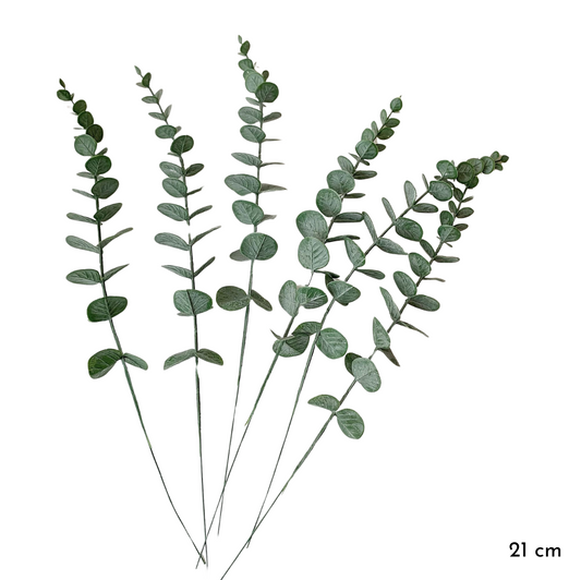 Filler Foliage (6)