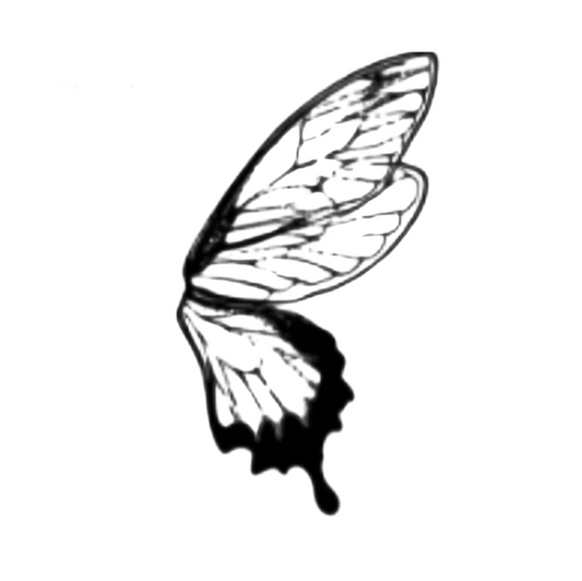 Butterfly Wrap (20 pcs)