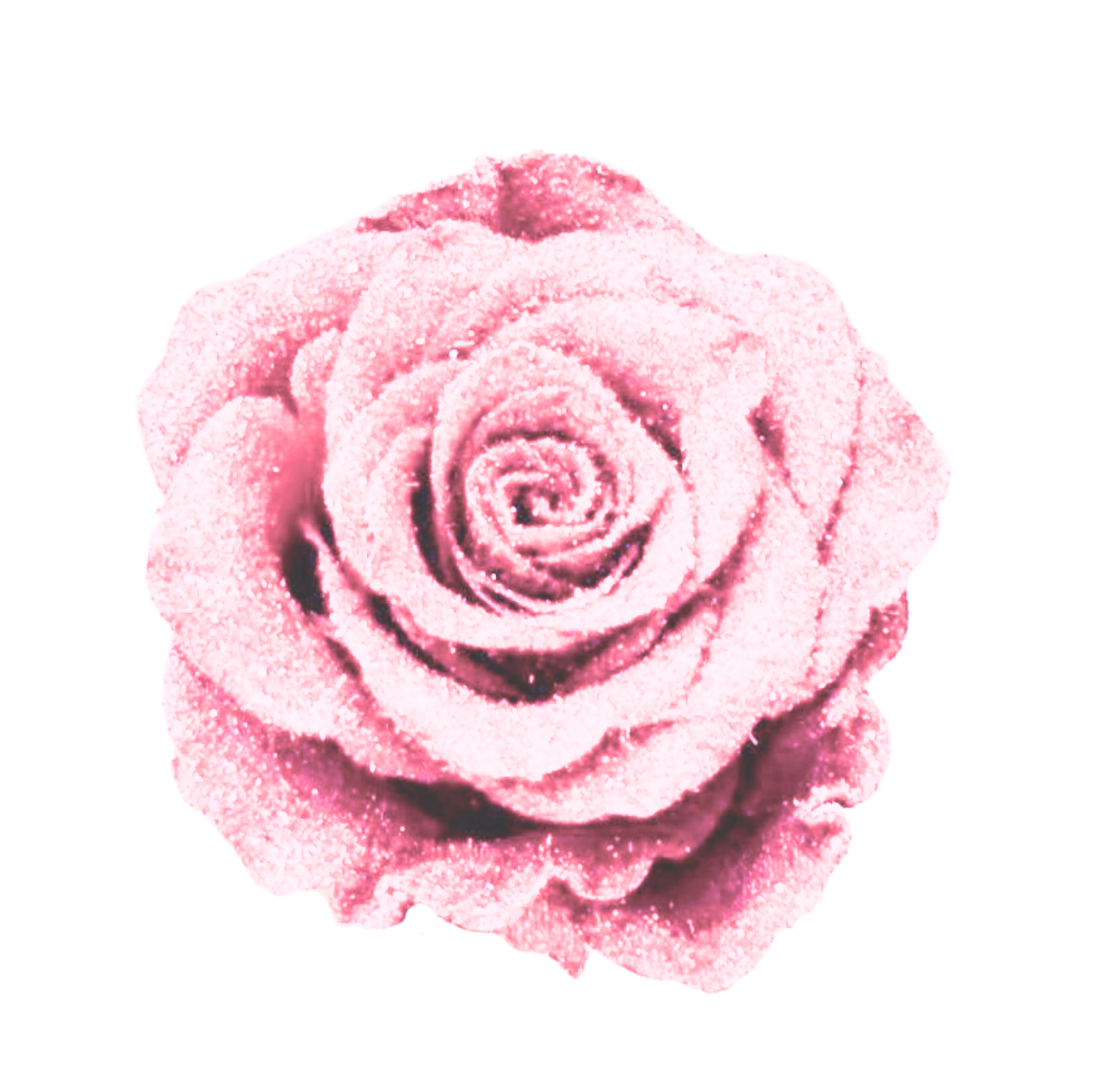 Glittered Silk Roses