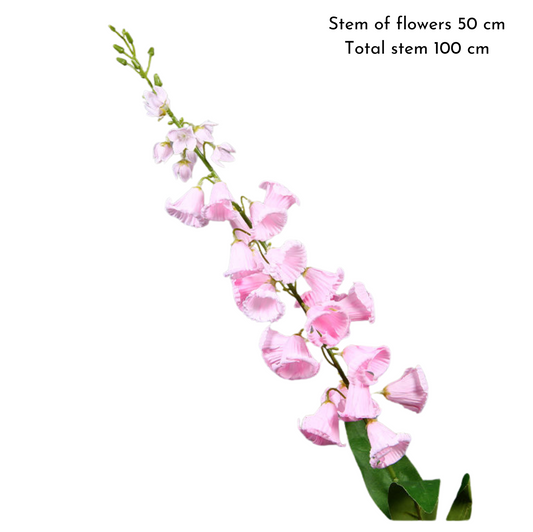 Bellflower