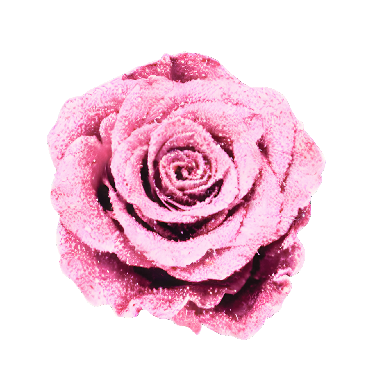Glittered Silk Roses