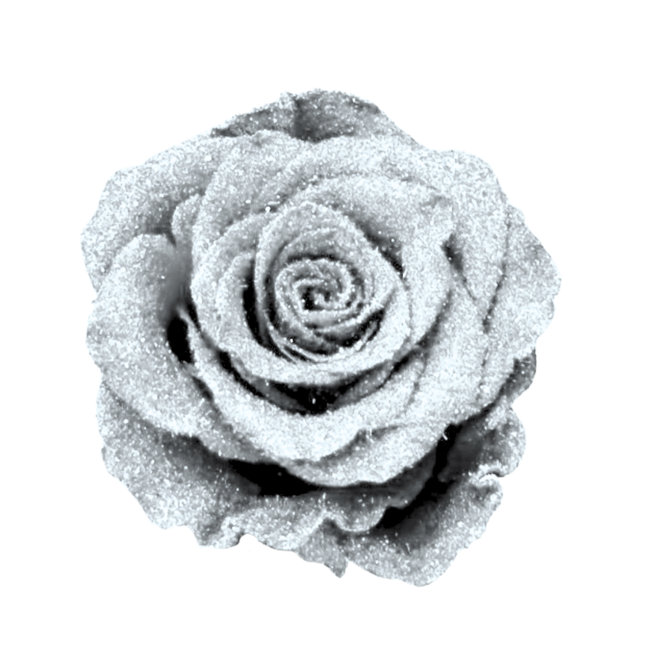 Glittered Silk Roses