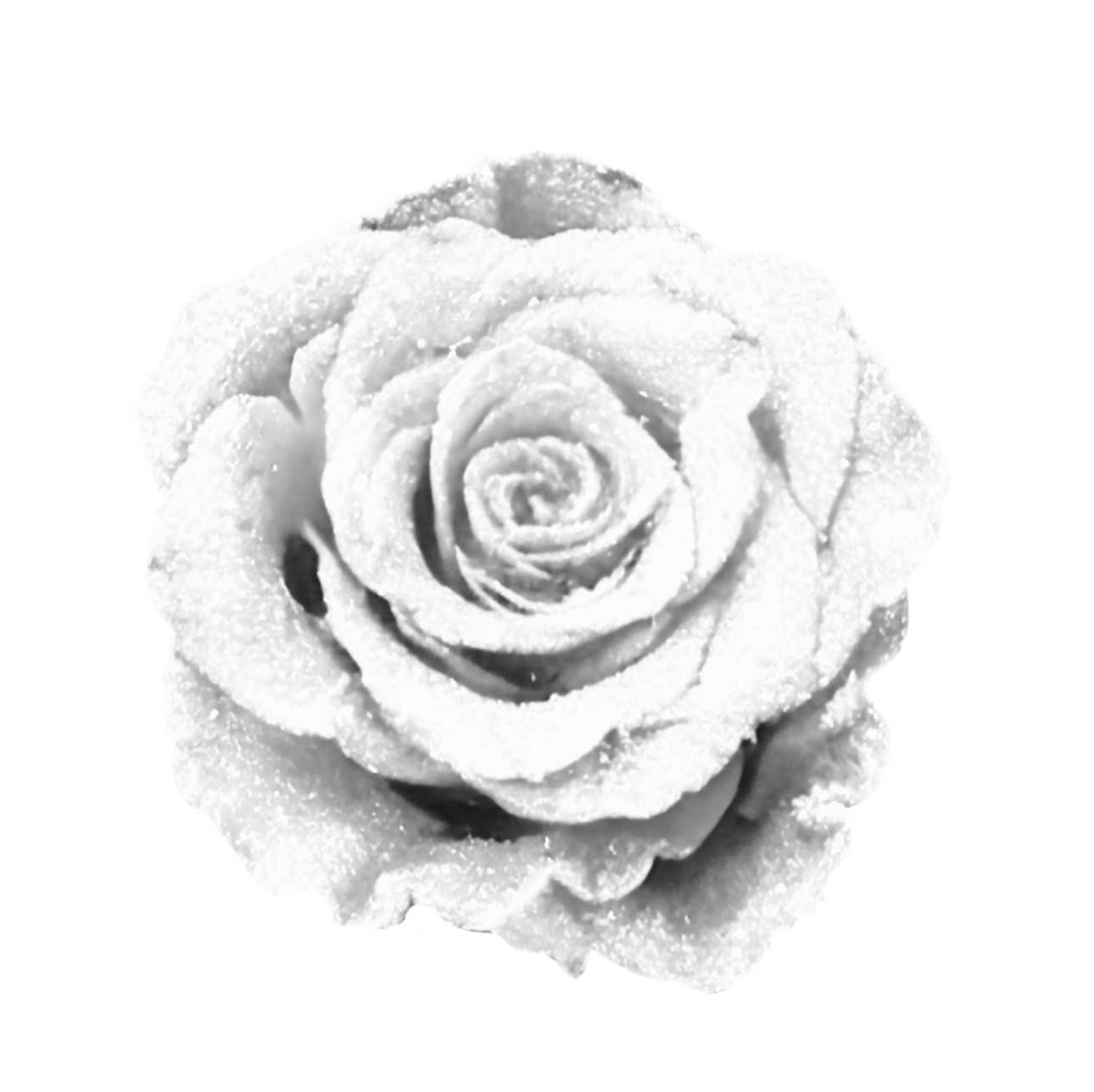 Glittered Silk Roses