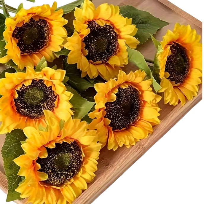 Sunflowers (3)
