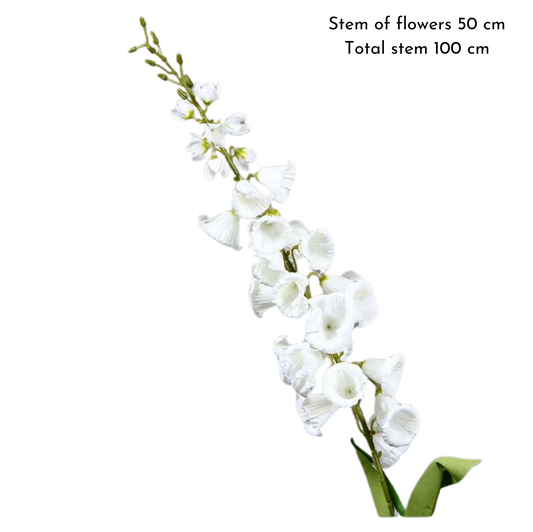 Bellflower